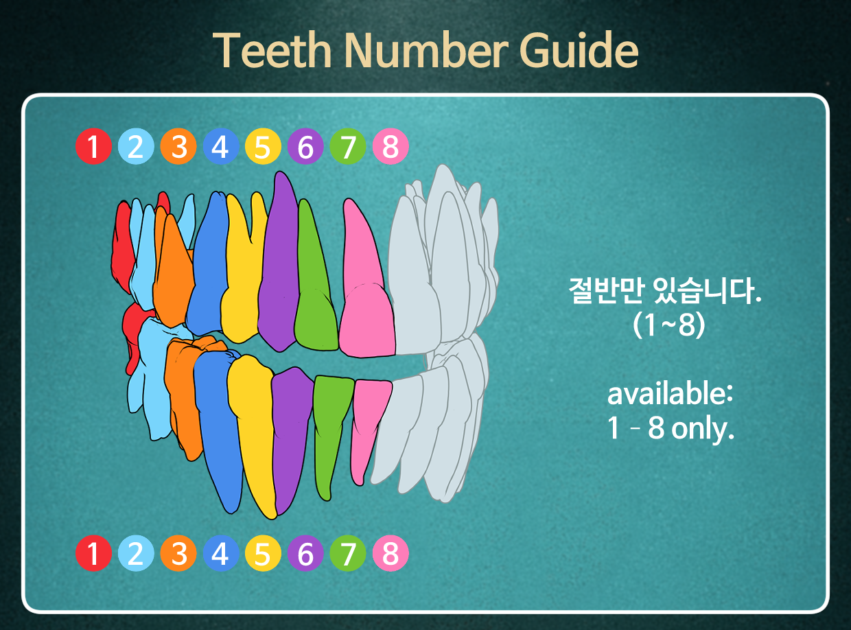 3553559055_1773646282.861.png