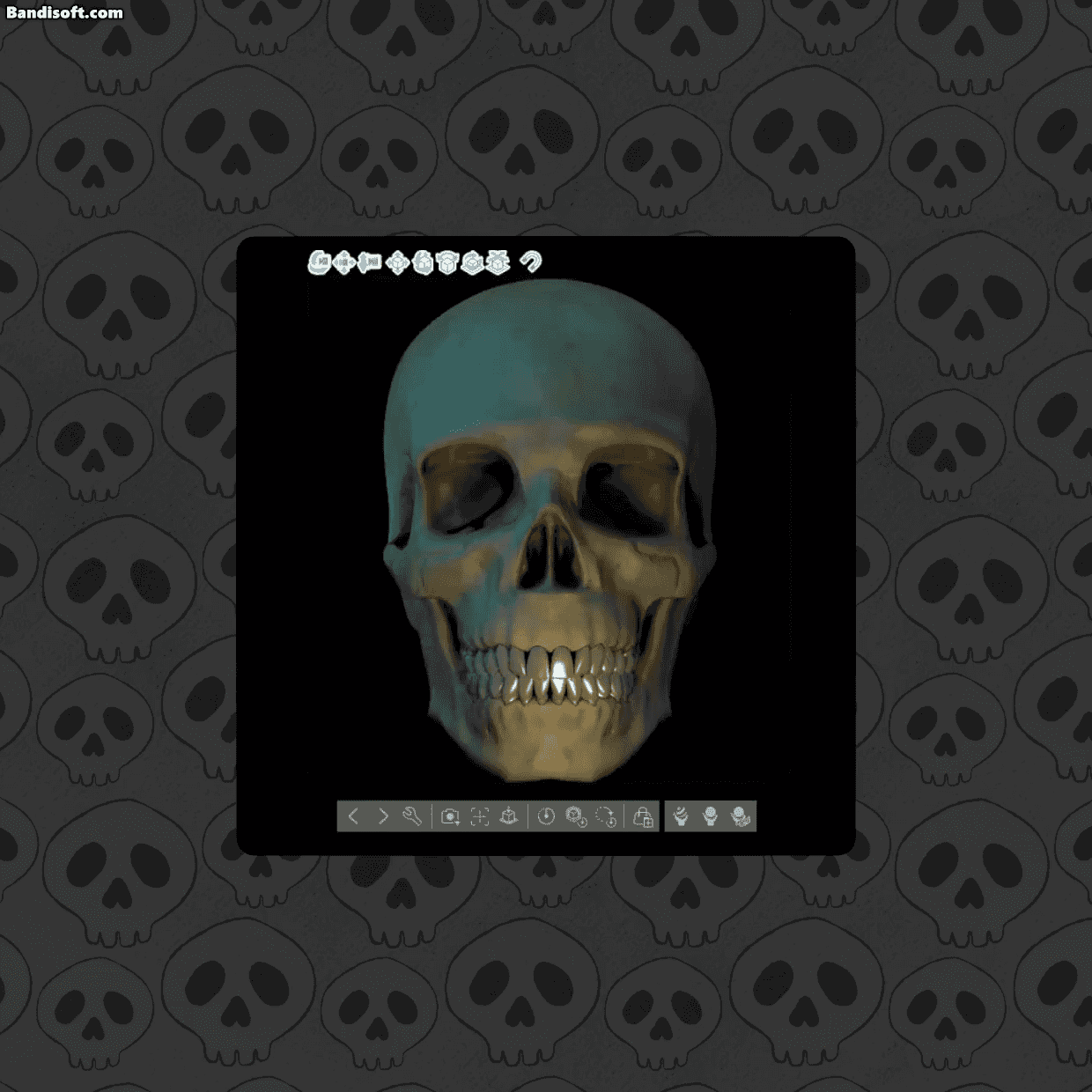3553559055_1773646842.6595.gif